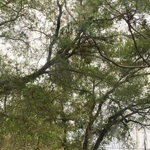 Meet your Posher, Alejandra